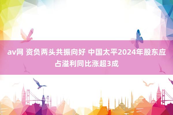 av网 资负两头共振向好 中国太平2024年股东应占溢利同比