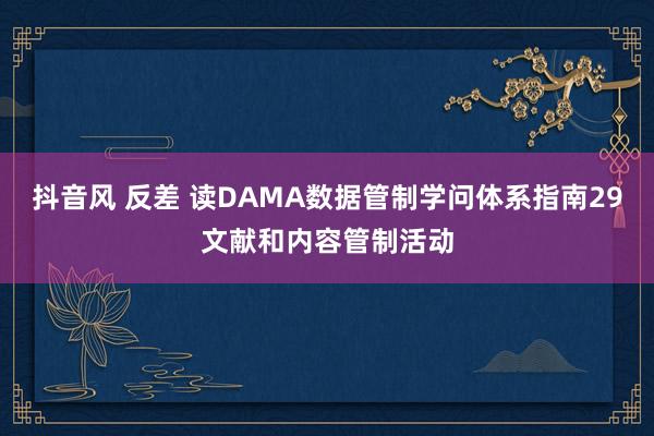 抖音风 反差 读DAMA数据管制学问体系指南29文献和内容管