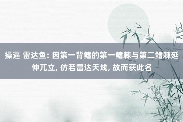 操逼 雷达鱼: 因第一背鳍的第一鳍棘与第二鳍棘延伸兀立, 仿若雷达天线, 故而获此名