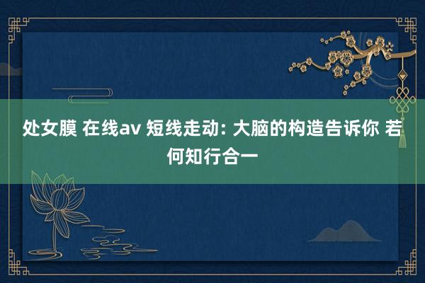 处女膜 在线av 短线走动: 大脑的构造告诉你 若何知行合一