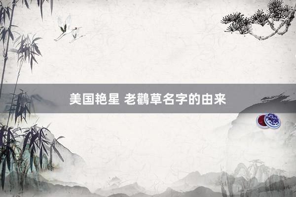 美国艳星 老鸛草名字的由来