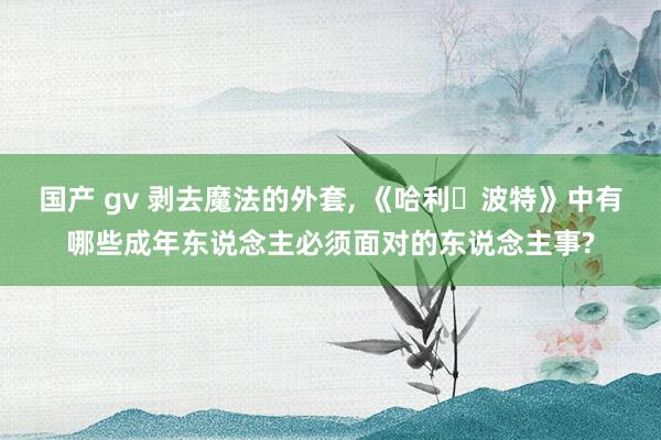 国产 gv 剥去魔法的外套, 《哈利・波特》中有哪些成年东说