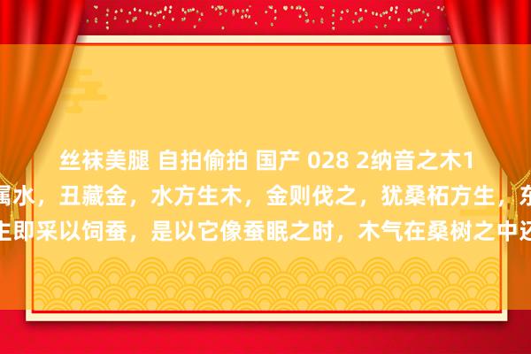 丝袜美腿 自拍偷拍 国产 028 2纳音之木1:壬子、癸丑桑拓木。子属水,丑藏金,水方生木,金则伐之,犹桑柘方生,东说念主即采以饲蚕,是以它像蚕眠之时,木气在桑树之中还没伸展到水地,故名“桑柘木”。
