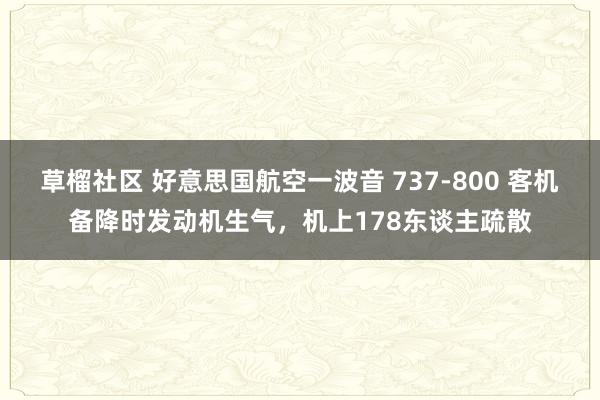 草榴社区 好意思国航空一波音 737-800 客机备降时发动