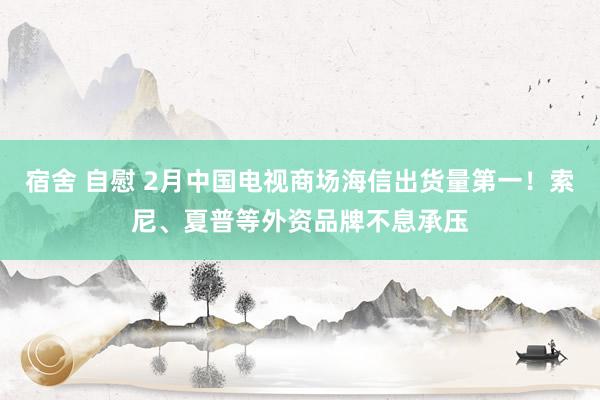 宿舍 自慰 2月中国电视商场海信出货量第一！索尼、夏普等外资品牌不息承压