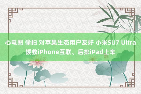 心电图 偷拍 对苹果生态用户友好 小米SU7 Ultra援救iPhone互联、后排iPad上车