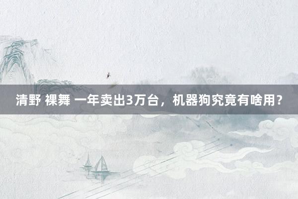 清野 裸舞 一年卖出3万台，机器狗究竟有啥用？