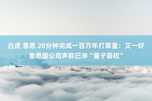 白虎 意思 20分钟完成一百万年打算量：又一好意思国公司声称已毕“量子霸权”